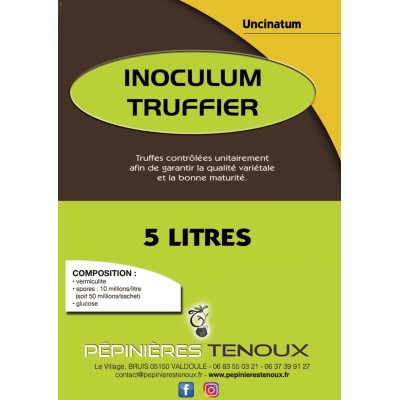 copy of Chêne Vert Truffier...