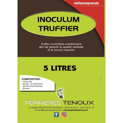 copy of Chêne Vert Truffier...