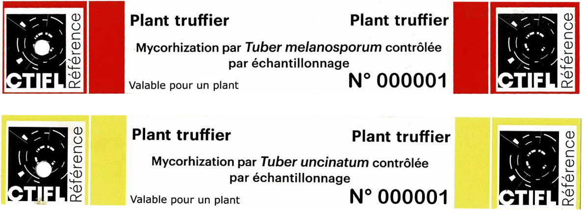 plants truffiers mycorhisés certifiés CTIFL