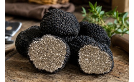 Combien coûte le kilo de truffe ?