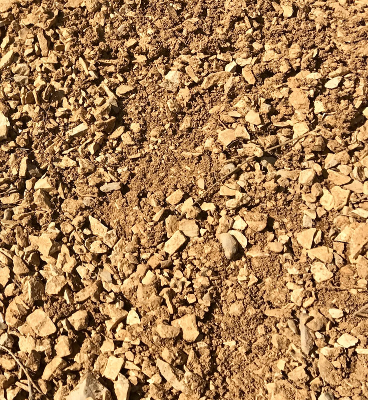 terrain de formation calcaire pour plan truffier