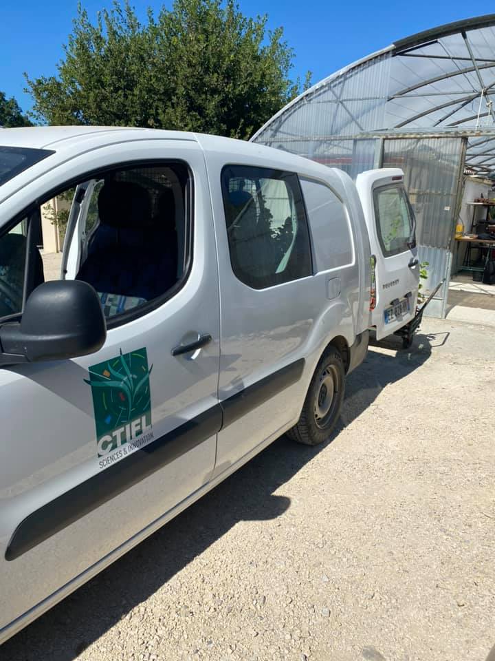 Prélèvements de plants truffiers par le CTIFL