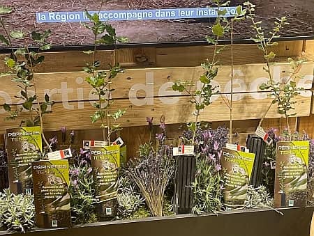 Salon de l'agriculture