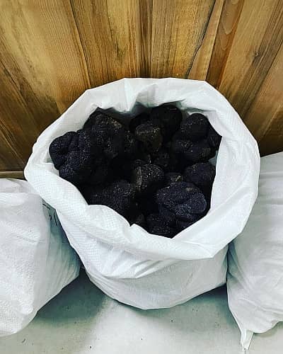 Truffes
